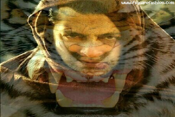 Ek Tha Tiger HD Wallpaper