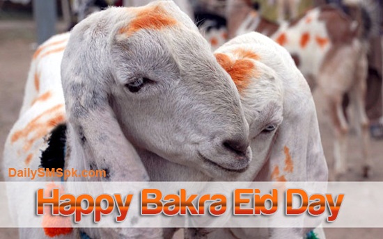 Happy Bakra Eid Day 2015 HD Wallpapers, Pictures, Images, Photos