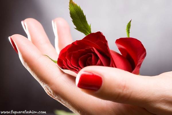 Lovely Rose Day 2016 HD Wallpapers, Pictures, Images, Photos