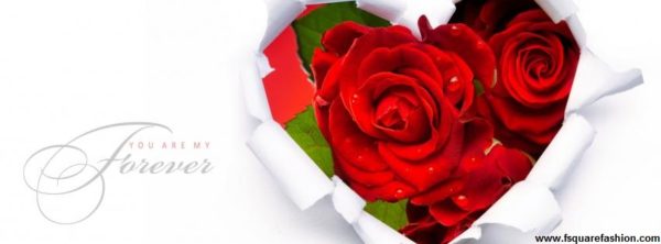 Red Rose Day Facebook (FB) Timeline Covers 2016