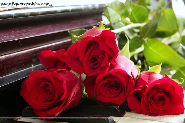 Red Roses Gifts on Rose Day 2016 HD Wallpapers