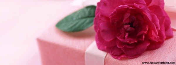Rose Day 2016 Facebook (FB) Timeline Covers 851x315