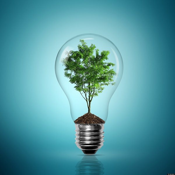 Green Fashion Tree in Bulb Pictures, Images, Photos, HD Wallpapers