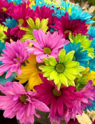 To Life’s Sunny Side Up! 5-Flowers That Can Brighten Up Your Day!