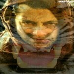 Ek Tha Tiger HD Wallpaper