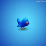 Blue Sparrow And Blue Background Twitter HD Wallpaper