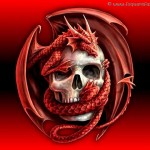 Red Dragon Skull HD Wallpapers