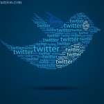 Typo Twitter Bird HD Wallpaper