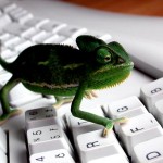 Green Dragon Lizard Keybaord HD Wallpapers