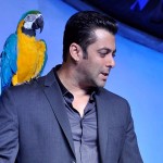 Salman In Bigg Boss Season 6 Serial 2012