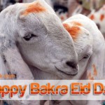 Happy Bakra Eid Day 2015 HD Wallpapers