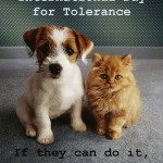 International Day for Tolerance Funny Pictures