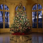 Beautiful Christmas Trees HD Wallpapers