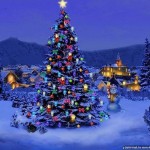 Decorated Christmas Trees HD Wallpapers