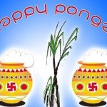 Happy Pongal Wallpapers, Pictures, Images & Photos