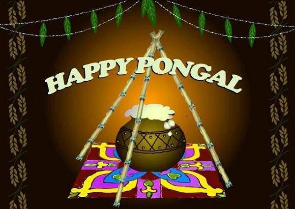 Happy Pongal Wallpapers, Pictures, Images & Photos 2016