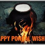 Pongal 2021 Sms, Messages, Quotes in Tamil Greetings