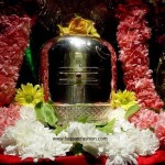 Maha Shivaratri Pictures, Images, Photos & Wallpapers 2015
