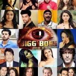 Bigg Boss Season 7 Final Contestants-Participants List