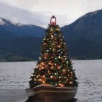 Christmas Tree 2018 Ideas Pictures