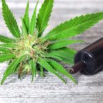 How To Use Hemp Oil For Pain: A Beginner’s Guide